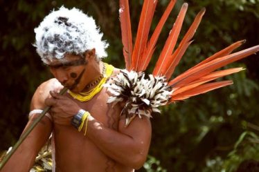 Conheça mais sobre a história dos Yanomami.