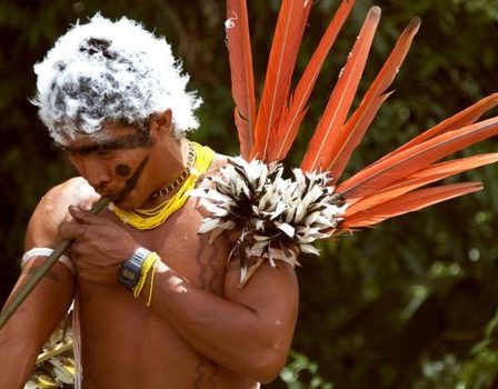Conheça mais sobre a história dos Yanomami.