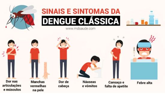 Surto de dengue na Argentina