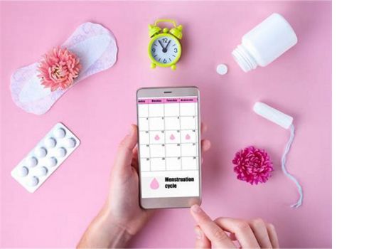 Calculadora Menstrual, como utilizar o Flo Health