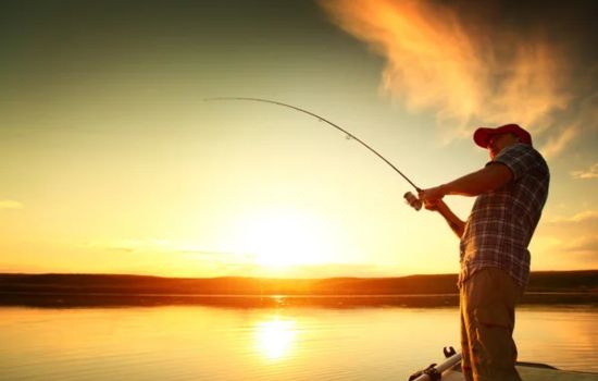 Explore os melhores apps de pesca